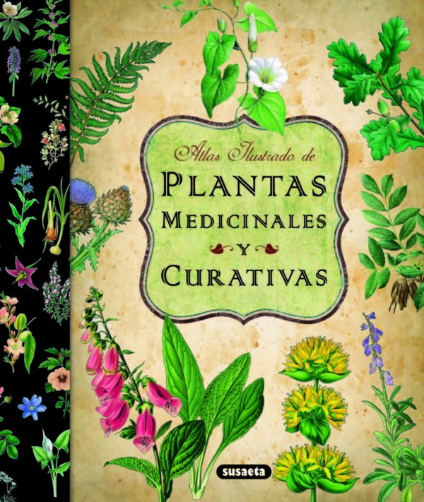 Atlas Ilustrado de Plantas Medicinales y Curativas-Susaeta Equipo