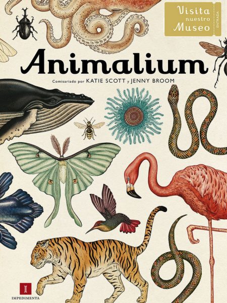 Animalium-Broom Jenny y Scott Katie