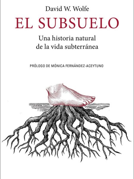 El Subsuelo-Wolfe David W.