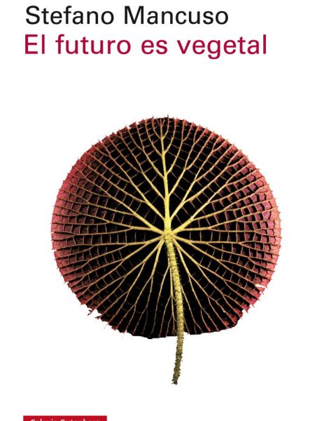 Futuro Es Vegetal el-Mancuso Stefano